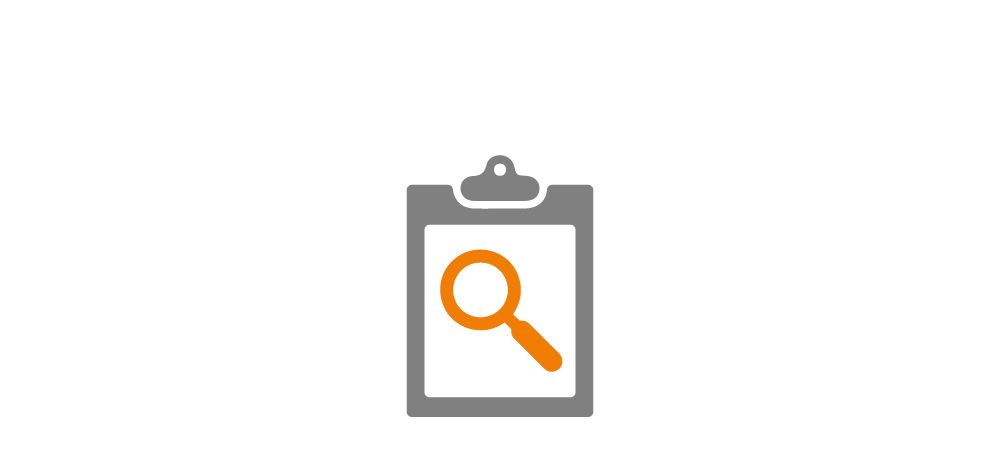 Audit activity
