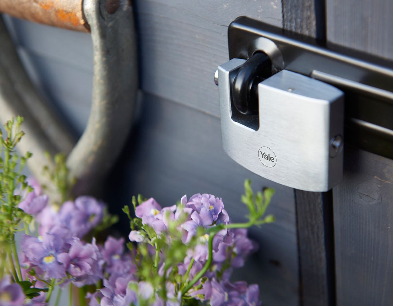 Image: No description