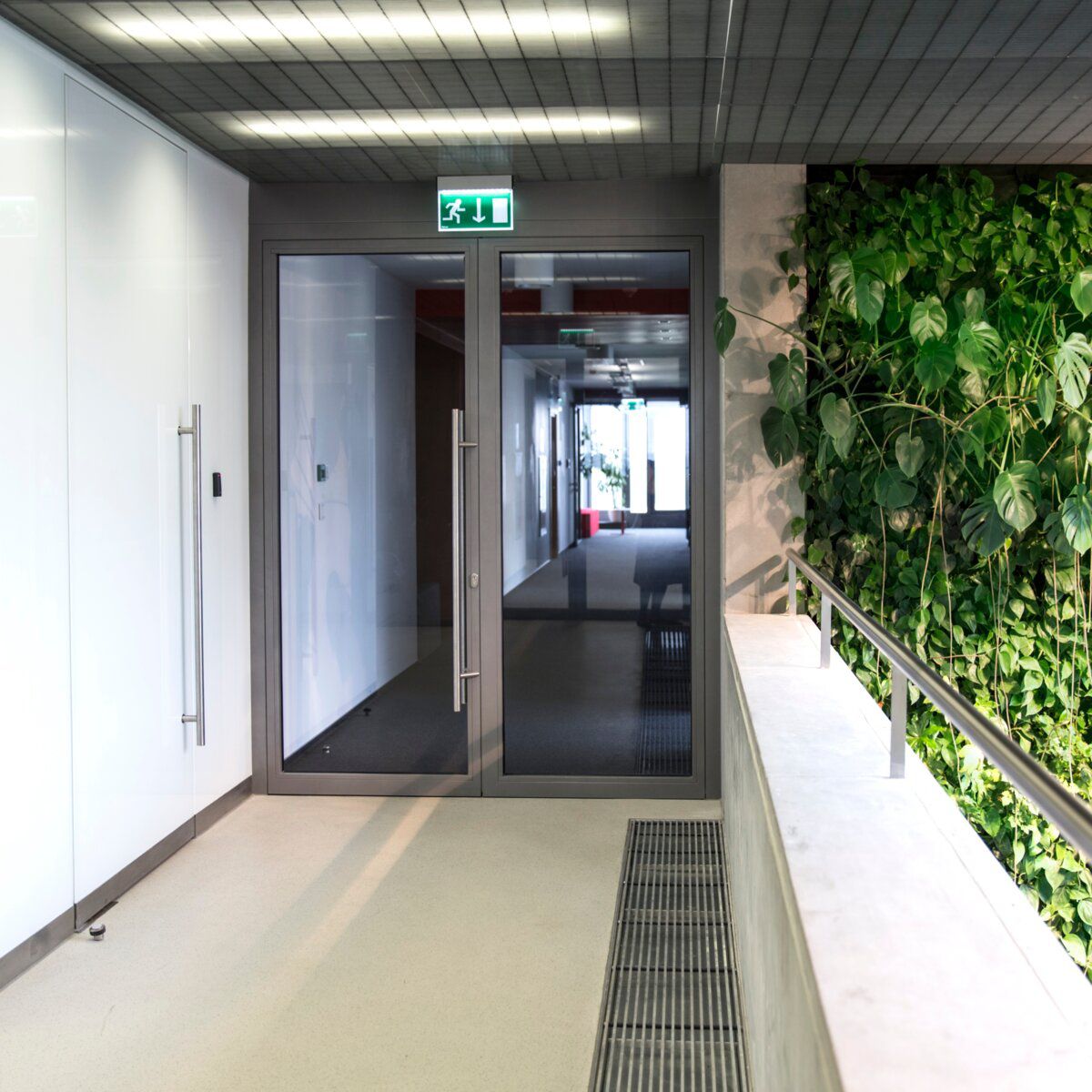 Image: No description