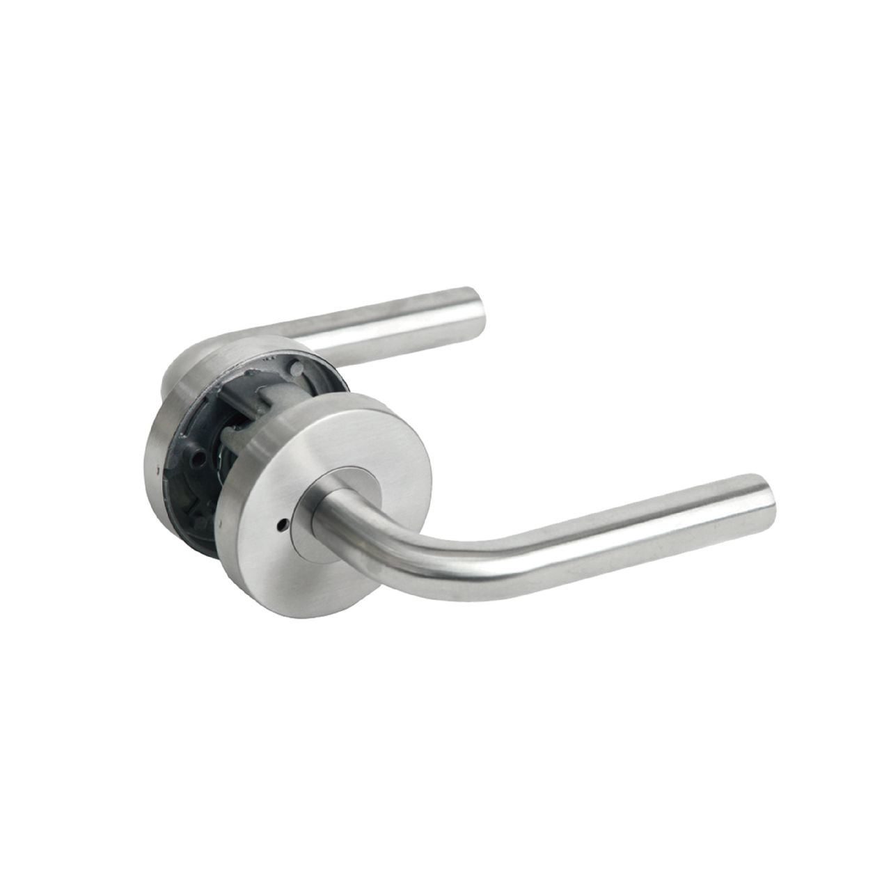 white acl1966ss.jpg