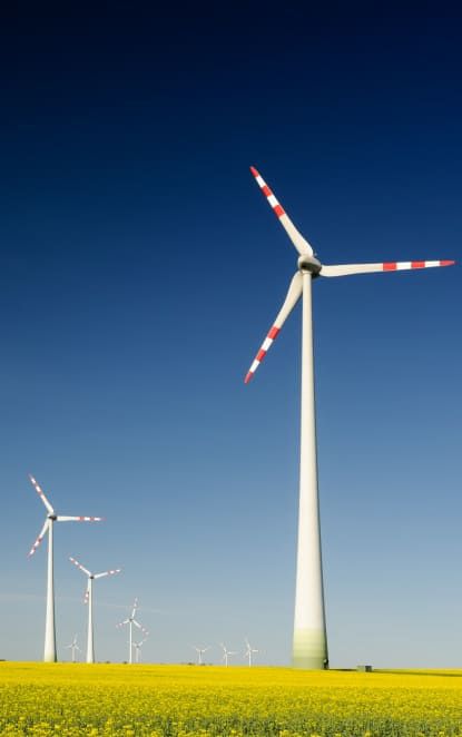 éolienne montrant que la marque vachette est respectueuse de l'environnement