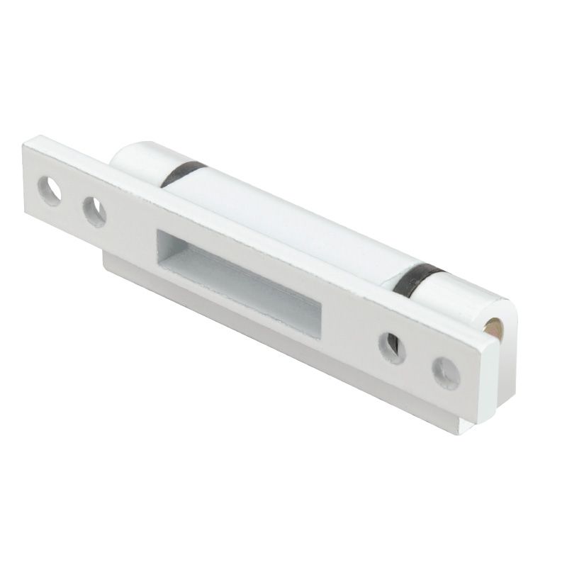 Window Hinge SCJ10030200.1 Picture 1
