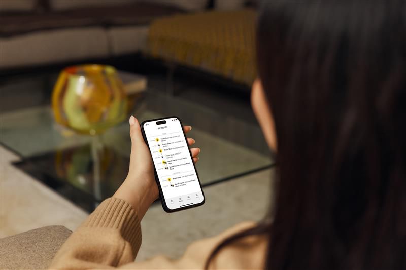 Smart lock mobile control while travelling