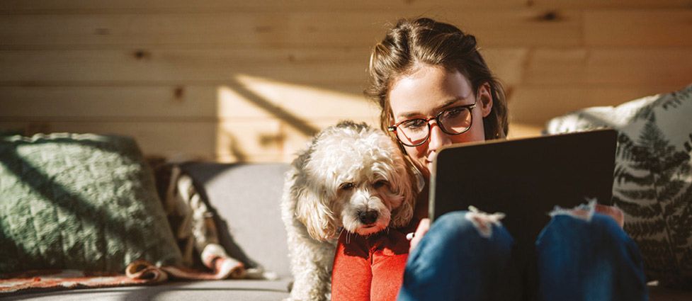 Girl and dog watching a tablet