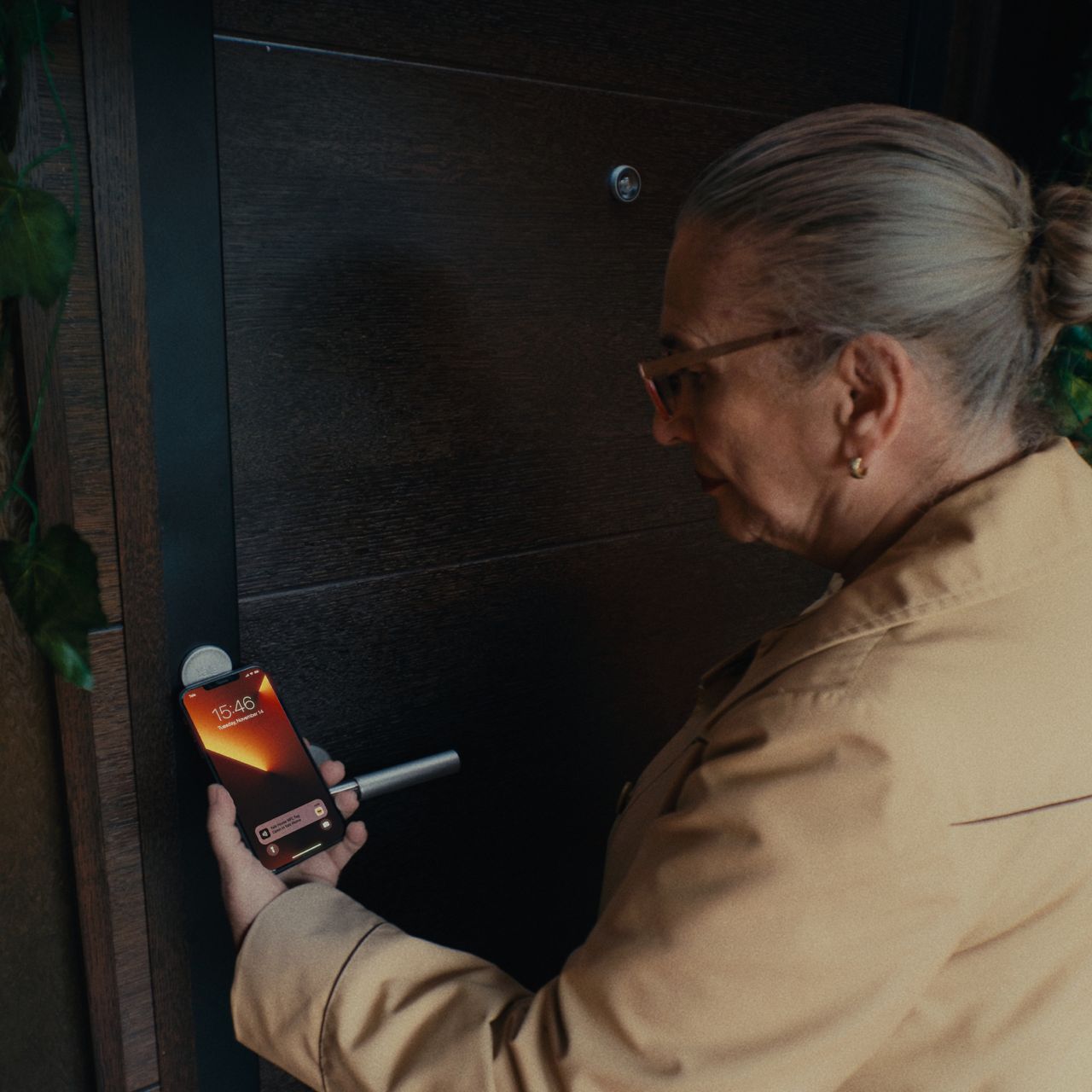 Image: No description