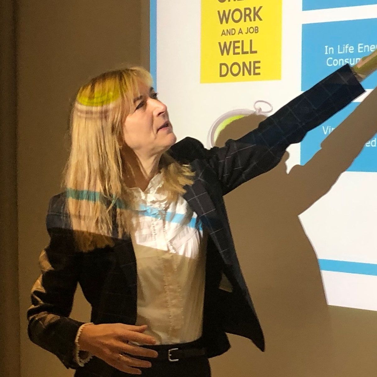 Zeljka presenting